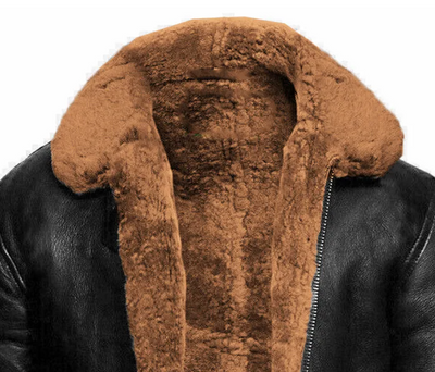 Jonas - Veste en cuir classique