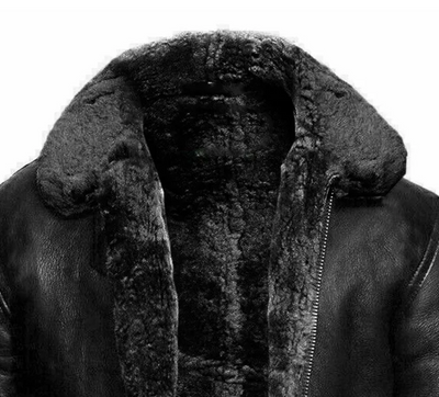 Jonas - Veste en cuir classique
