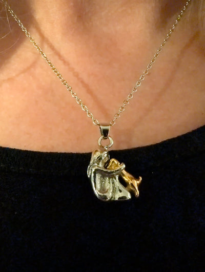 Amour éternel – Collier chien et propriétaire (1+1 GRATUIT)